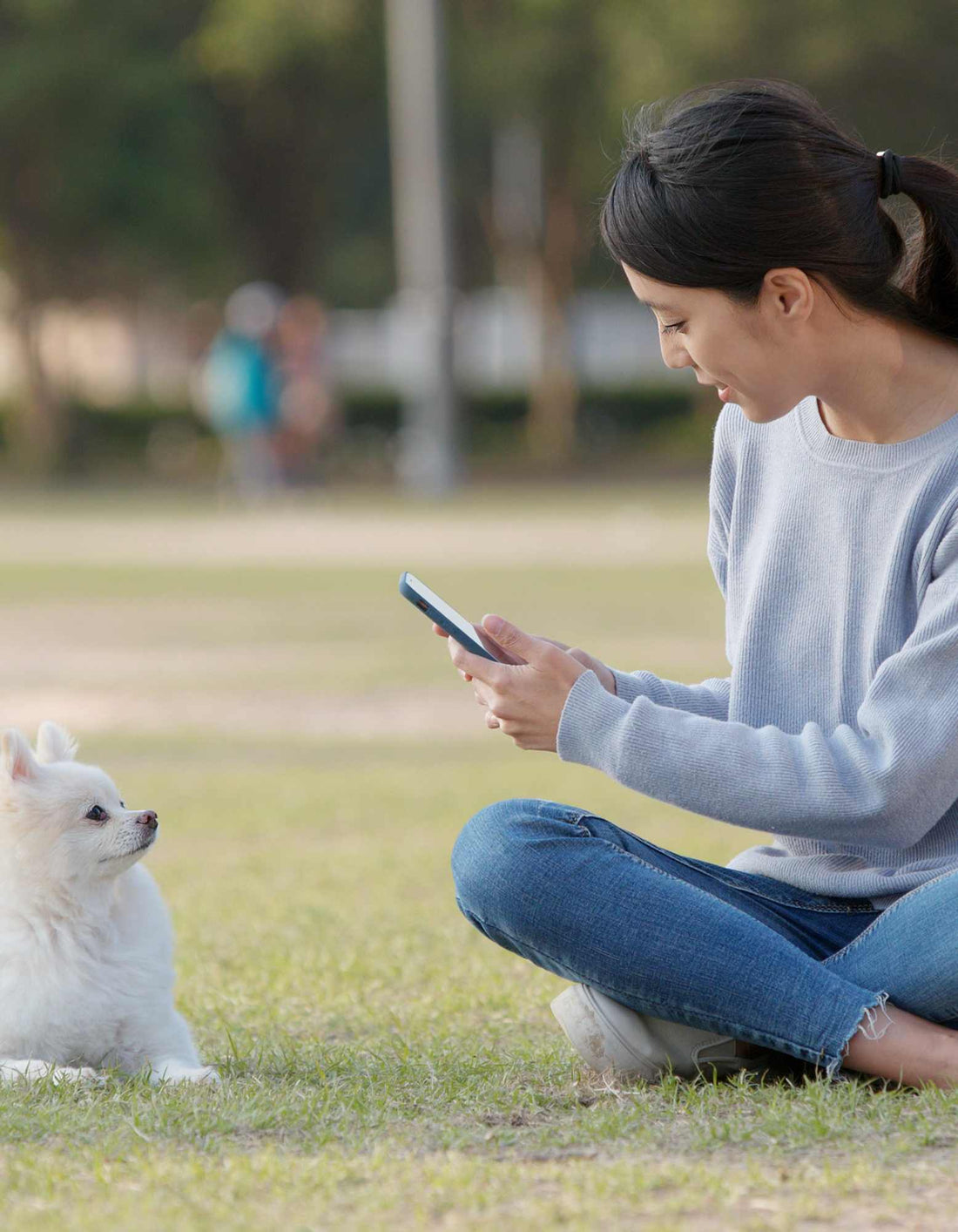 Personalisierte Hundefotos auf Bekleidung: Mach das Beste aus deinem Handyfoto!