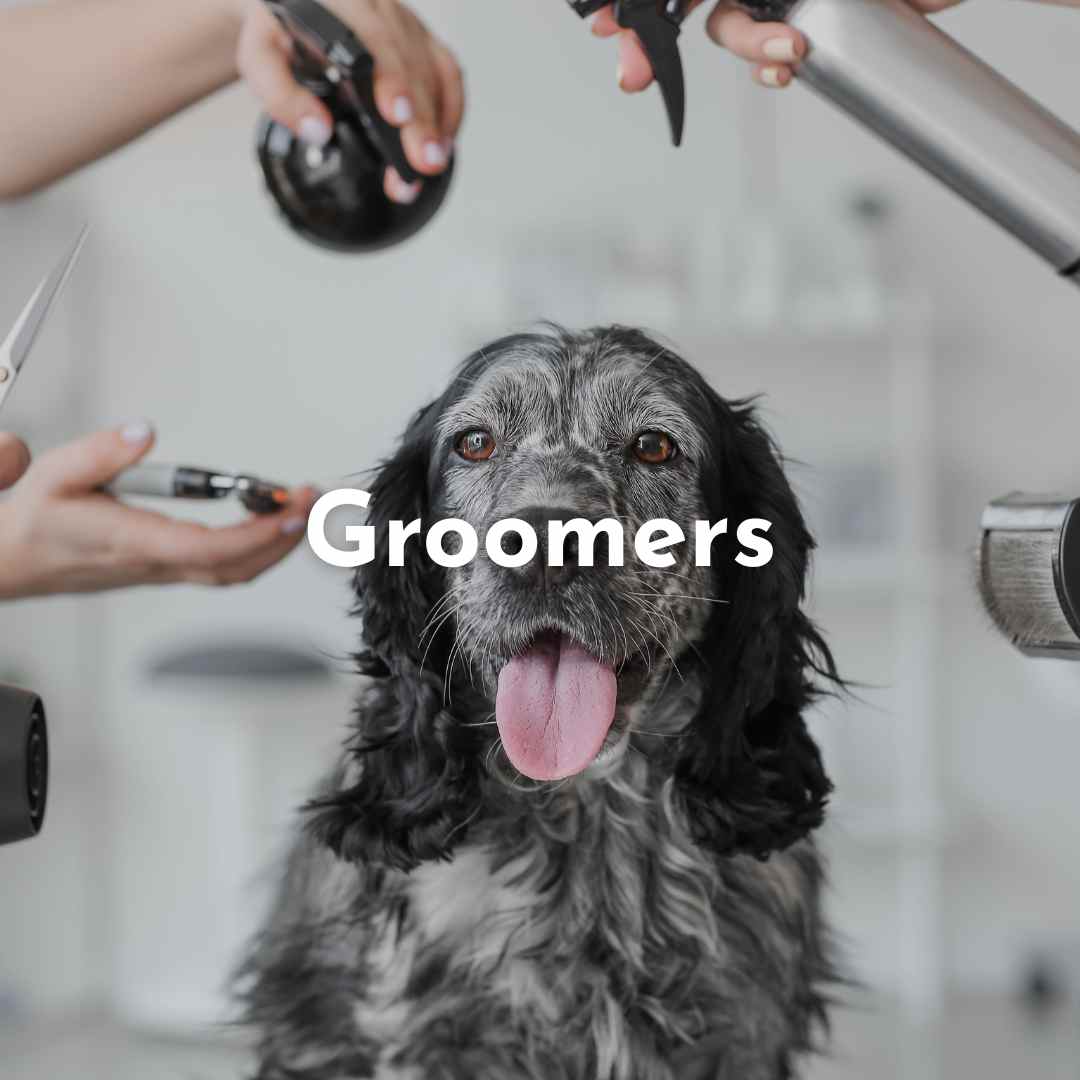 T-Shirts für Hundefriseure