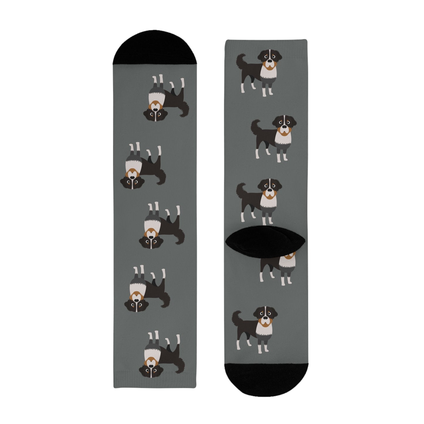 Berner Sennenhund Socken