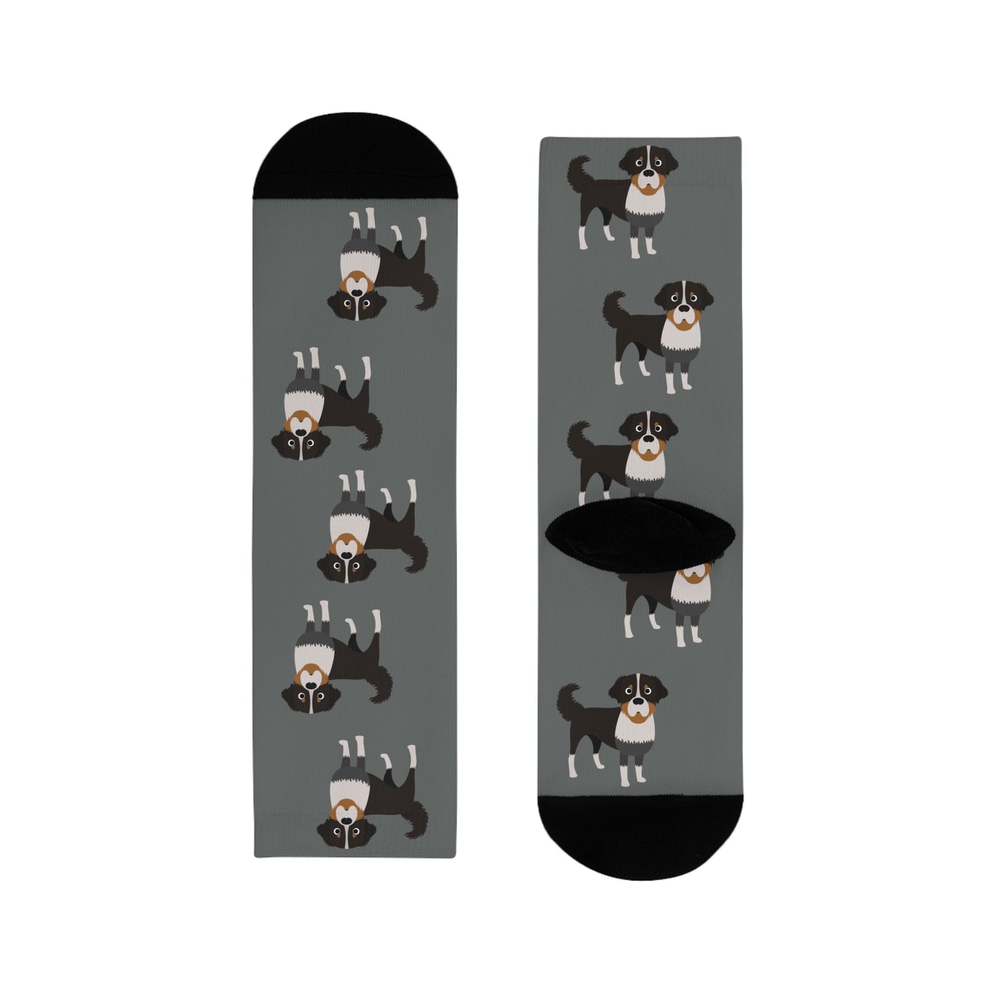 Berner Sennenhund Socken