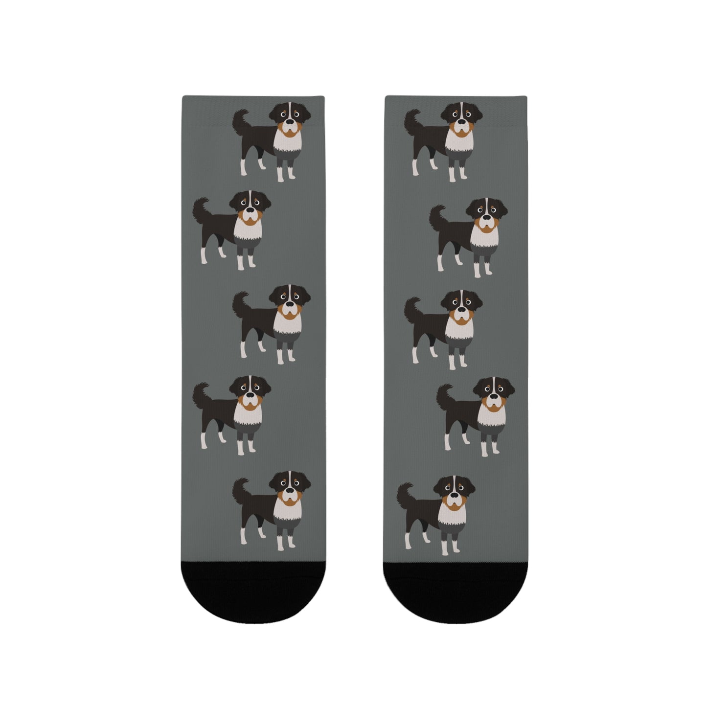 Berner Sennenhund Socken