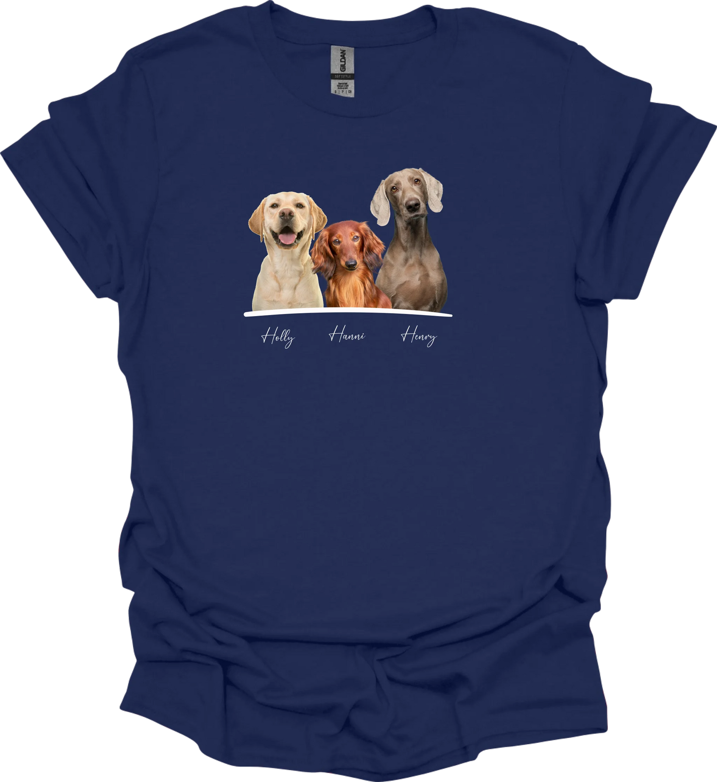 NAVY (1)