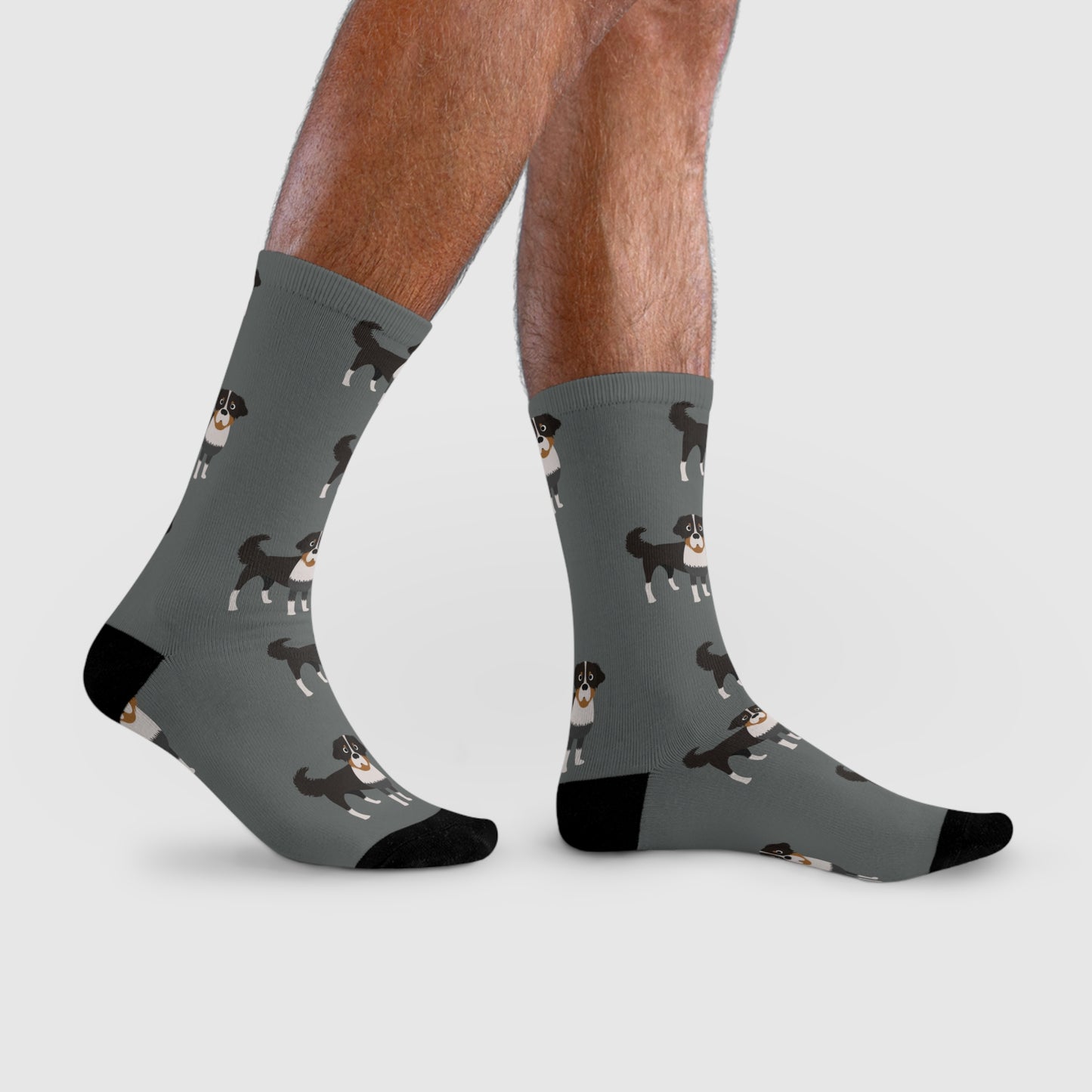 Berner Sennenhund Socken