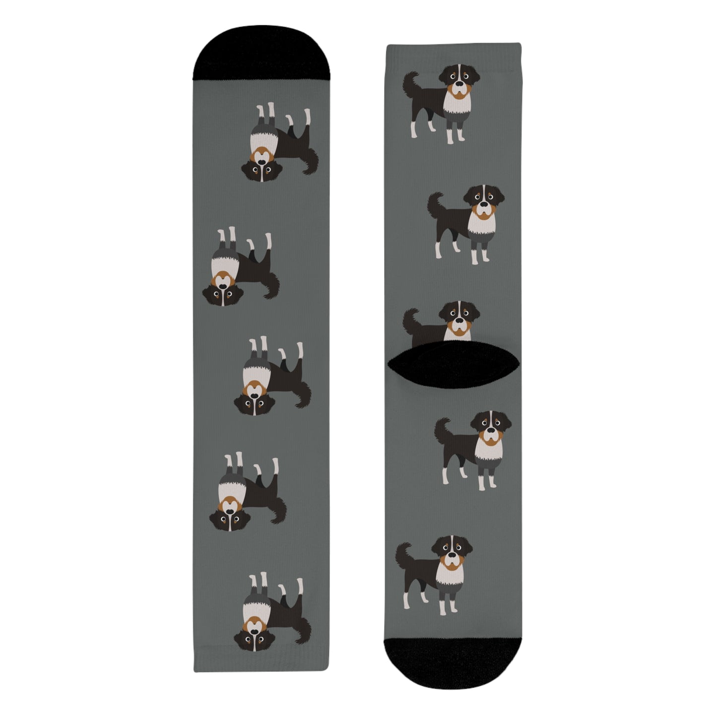 Berner Sennenhund Socken