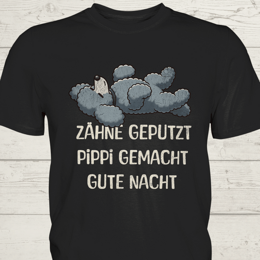 Schlaf Shirt - Zähne geputzt, Pippi gemacht, Gute Nacht - Premium Shirt